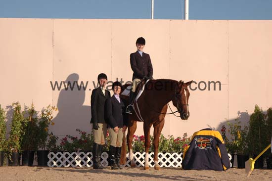 301 AZ05p56- 035