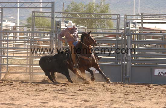 742 AZ05p43- 091