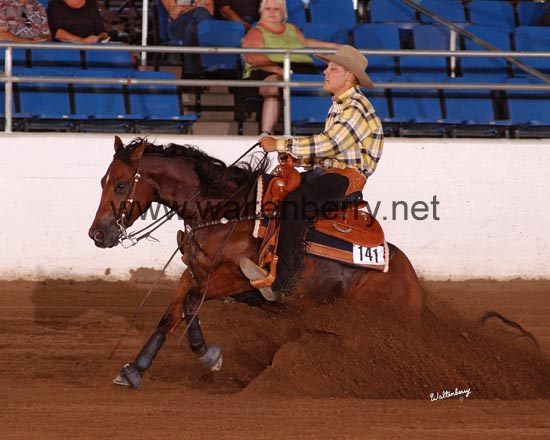 141 AZ06p39- 028 arno