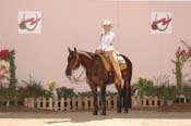 176 AZ06pAW.9- 025