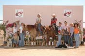642 AZ06pAW10- 015