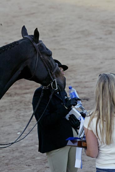 candid AZ06p15- 156