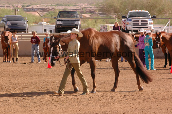 355 AZ07p25- 088