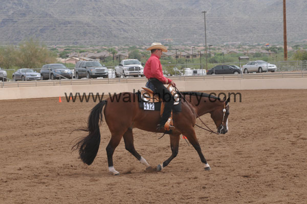 412 AZ08p12- 019