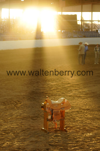 saddle & judges AZ08pAW.12- 002