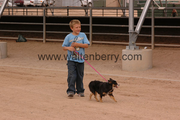 boy & dog AZ08p23- 265