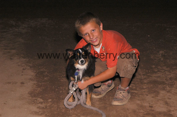 boy & dog AZ08p6- 107