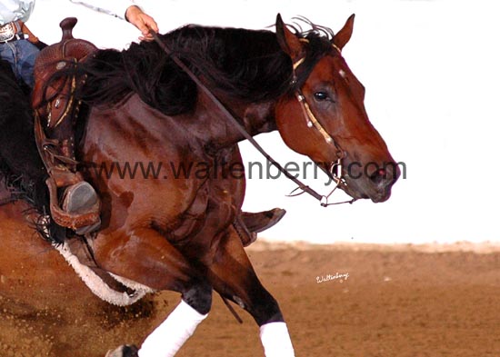 234 BC06p2F- 171 5x7