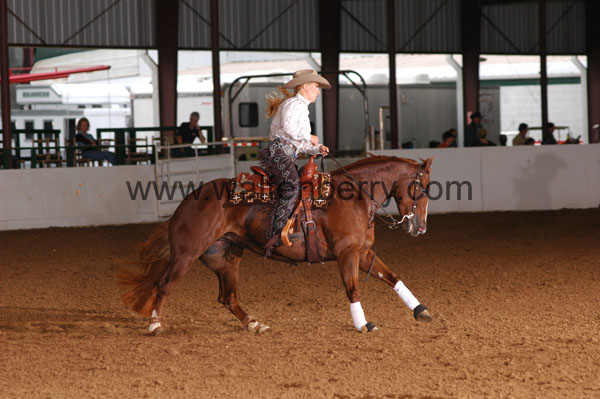 104 BC08p12A.1 - 041