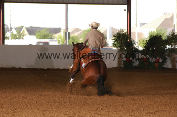 138 BC08p14B.1 - 129