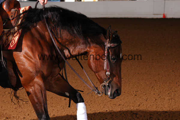 138 BC08p14B.1 - 130