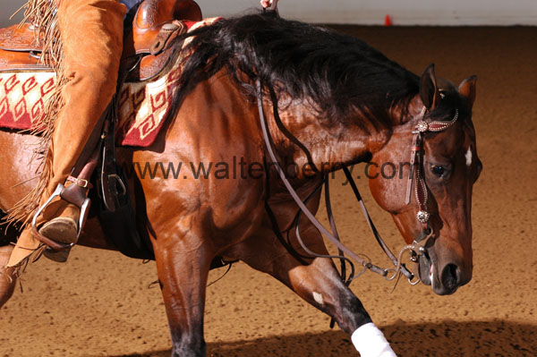 138 BC08p14B.1 - 131