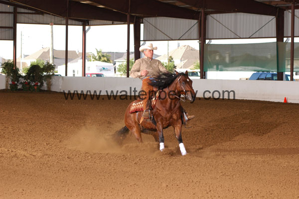 138 BC08p14B.1 - 133