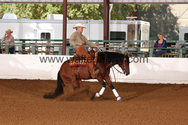 138 BC08p14B.1 - 135