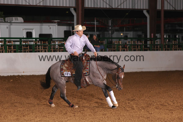 181 BC08p12A.3 - 042