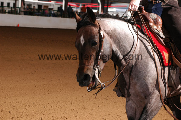 181 BC08p16B.2 - 096