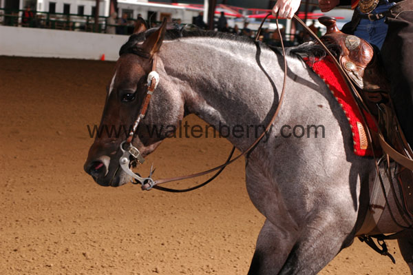 181 BC08p16B.2 - 097