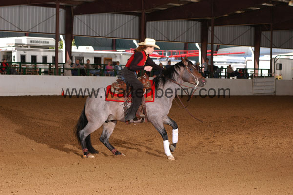 181 BC08p16B.2 - 100