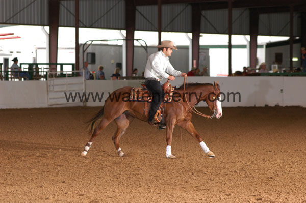 222 BC08p12A.2 - 108