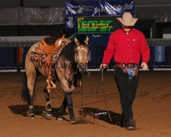 277 BC08p1F.3 - 143 gunny