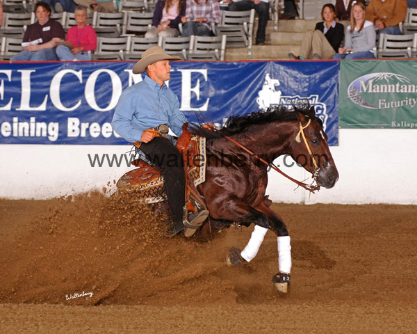 289 BC08p2F.1 - 122 williams