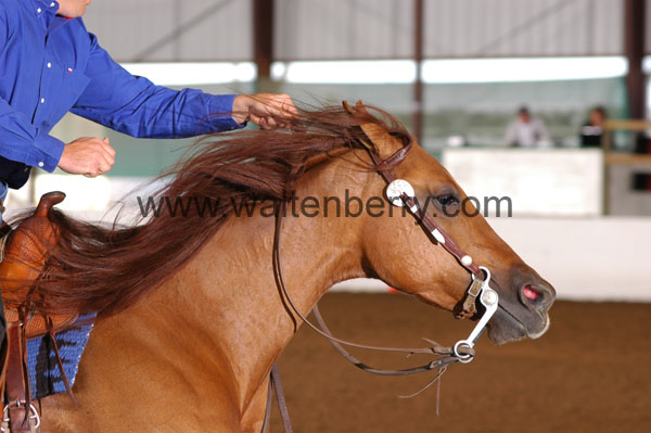 311 BC08p14B.2 - 021