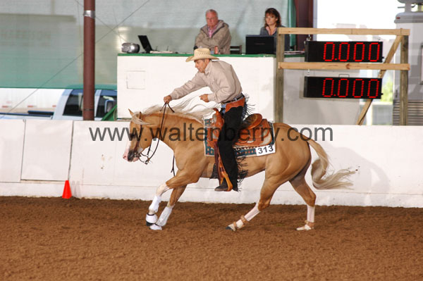 313 BC08p18A.1 - 124