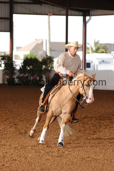 313 BC08p18A.1 - 126