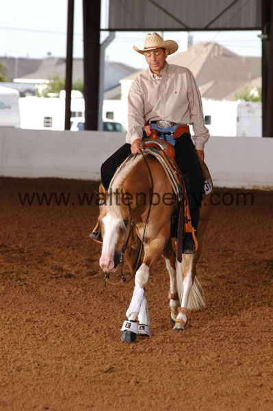 313 BC08p18A.1 - 131