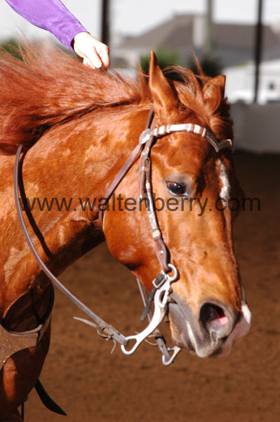 314 BC08p18A.2 - 097