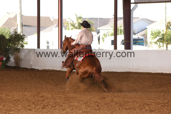 320 BC08p14B.1 - 107