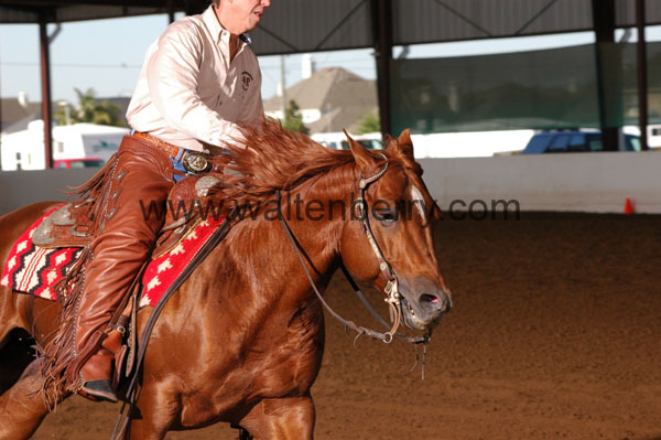 320 BC08p14B.1 - 108