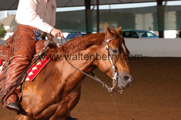 320 BC08p14B.1 - 109