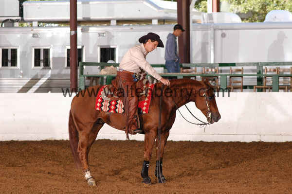 320 BC08p14B.1 - 113