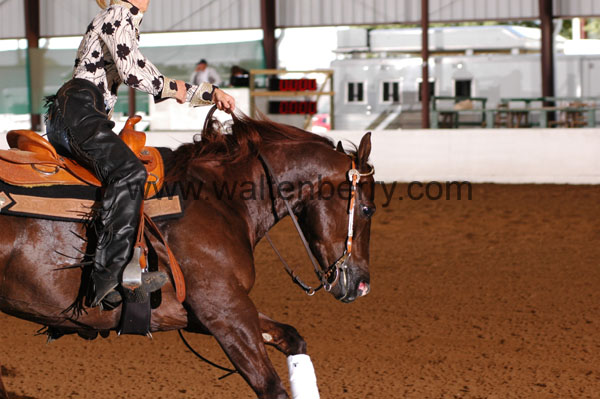 324 BC08p14B.2 - 056