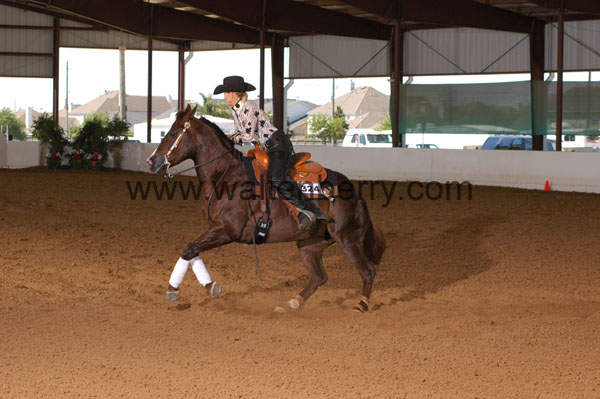 324 BC08p14B.2 - 059