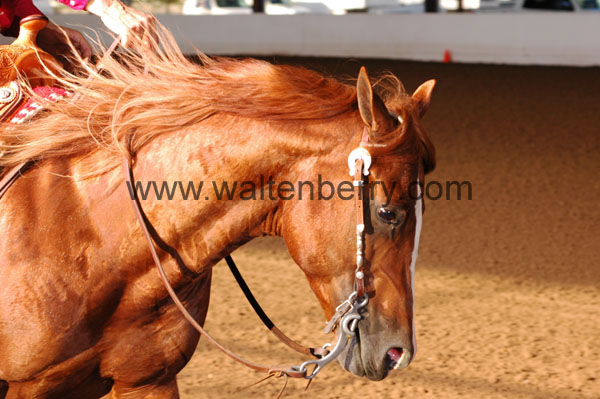 326 BC08p14B.1 - 002