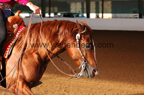 326 BC08p14B.1 - 003