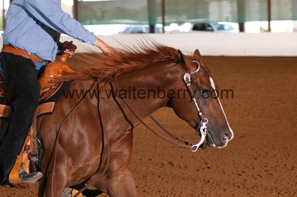 326 BC08p14B.2 - 078