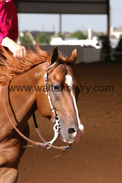 326 BC08p18A.1 - 179