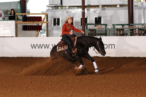 353 BC08p14B.1 - 063