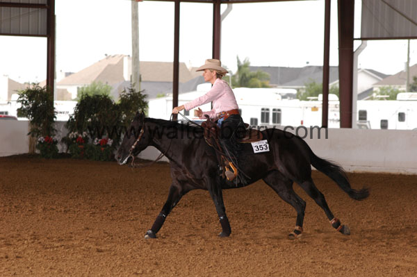 353 BC08p18A.2 - 159