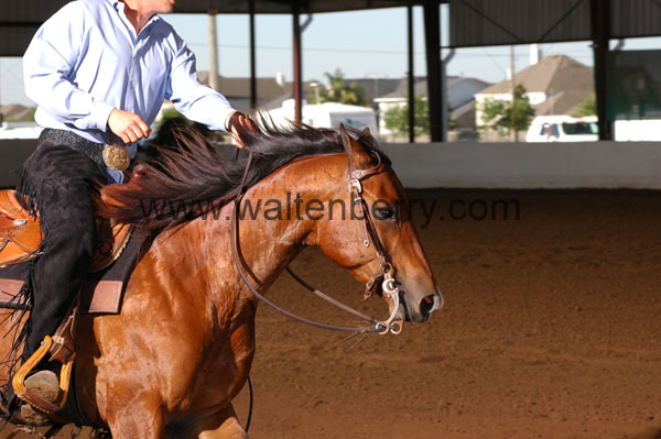 357 BC08p14B.1 - 081