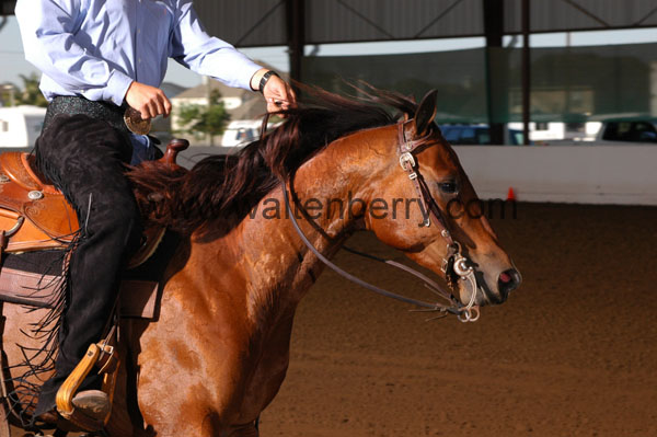 357 BC08p14B.1 - 082