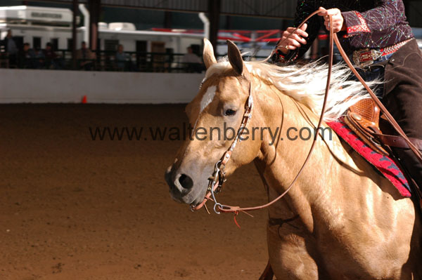 362 BC08p16B.2 - 140