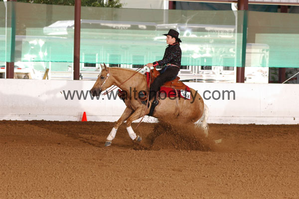 362 BC08p16B.2 - 142