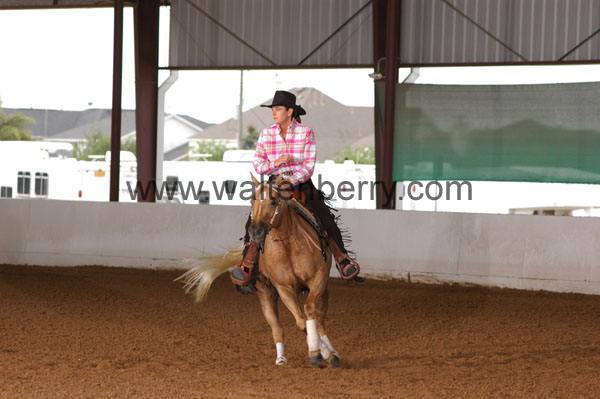 362 BC08p18A.2 - 132