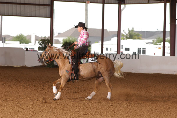 362 BC08p18A.2 - 133