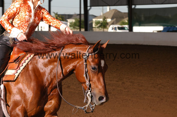 378 BC08p14B.1 - 038