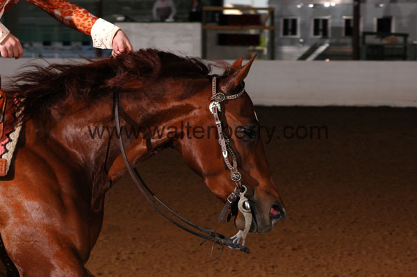 378 BC08p14B.1 - 039